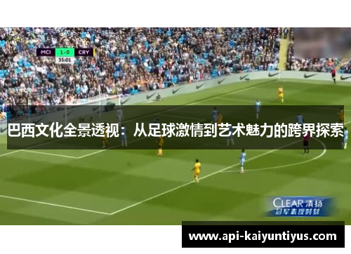 巴西文化全景透视：从足球激情到艺术魅力的跨界探索