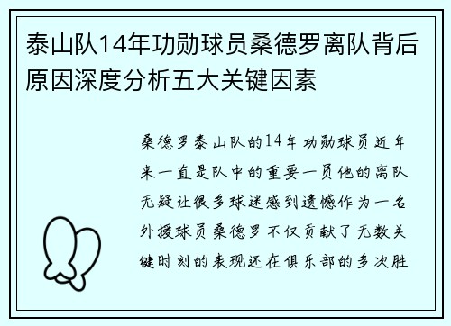 泰山队14年功勋球员桑德罗离队背后原因深度分析五大关键因素