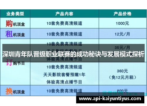 深圳青年队晋级职业联赛的成功秘诀与发展模式探析