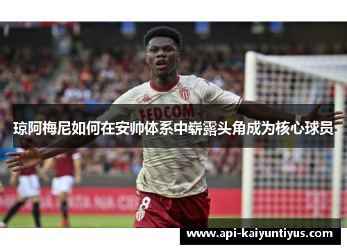 琼阿梅尼如何在安帅体系中崭露头角成为核心球员