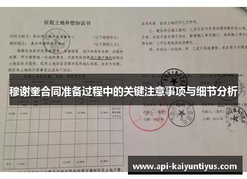 穆谢奎合同准备过程中的关键注意事项与细节分析