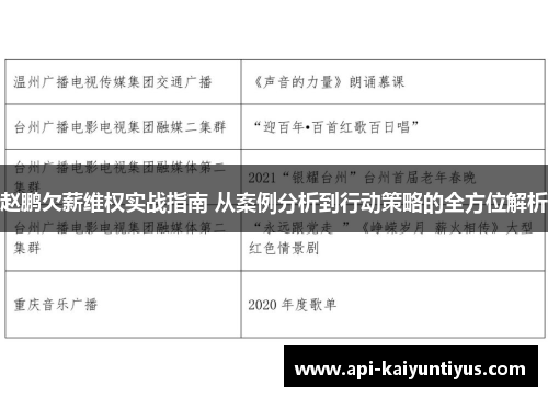 赵鹏欠薪维权实战指南 从案例分析到行动策略的全方位解析