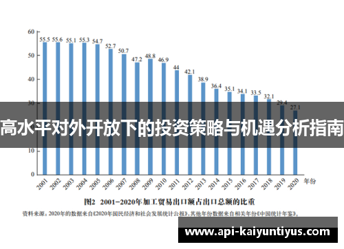 高水平对外开放下的投资策略与机遇分析指南